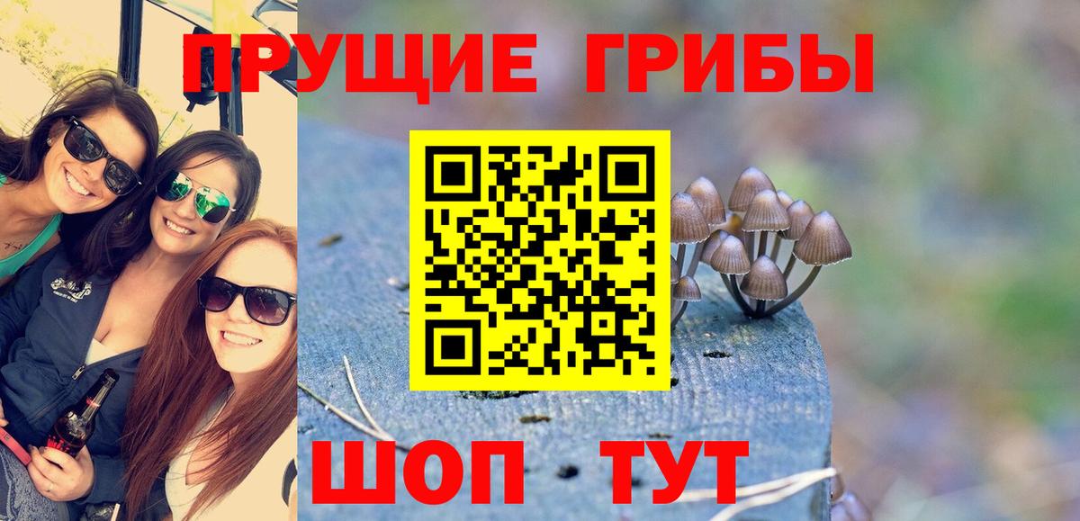 Псилоцибиновые грибы прущие грибы Ярцево